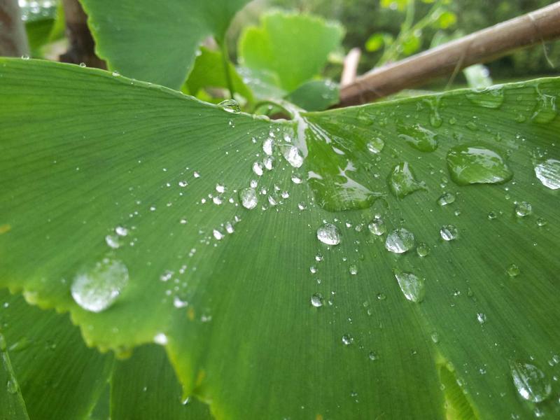 百年孤独<br>qyf5seag.cn 马孔多雨季